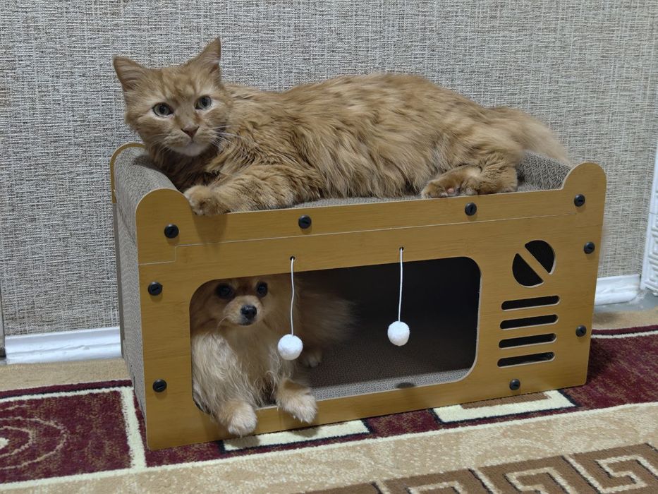 Домик для кошки, или маленькой собаки