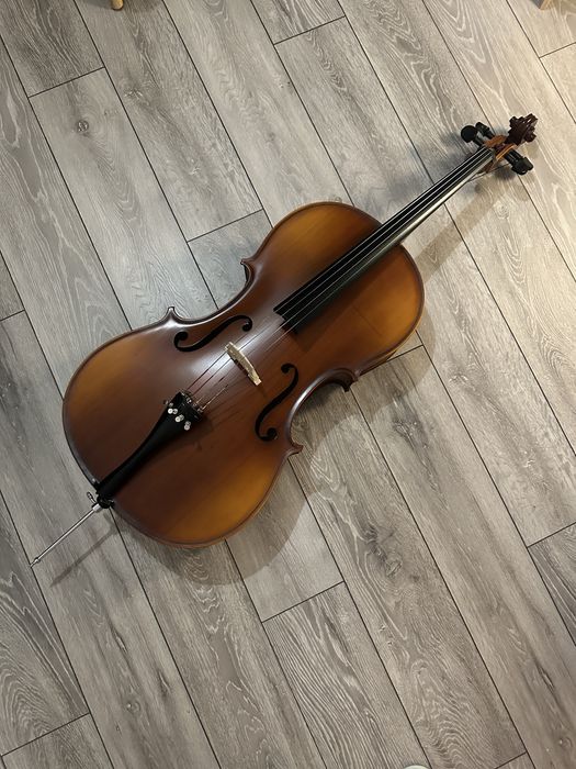 Violoncel 4/4 Hora Reghin