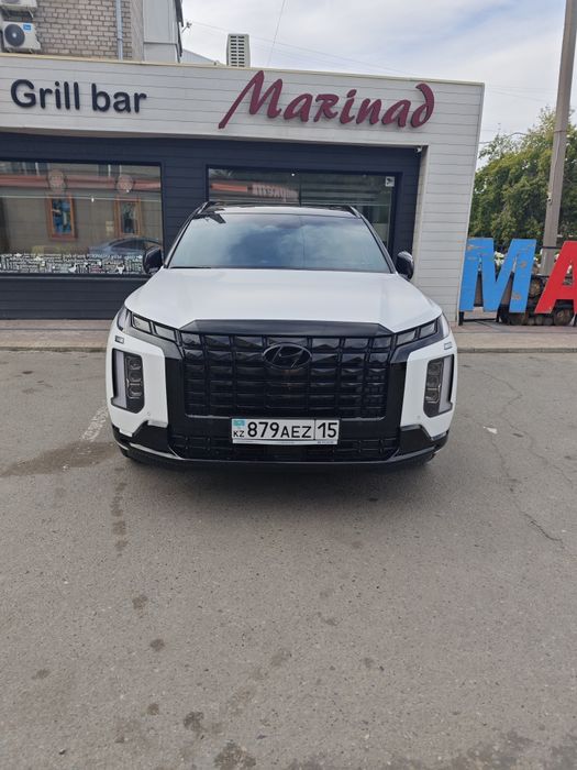 Hyundai Palisade Calligraphy