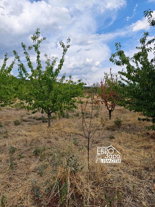 Голям парцел за продажба в село Кирилово