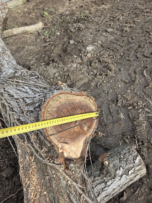 Дървен матерял,орех