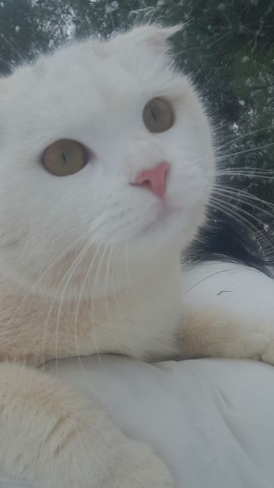 Mushukcha yuqolib qoldi qiz bola  mediapark ruparasi topgangan mukofot