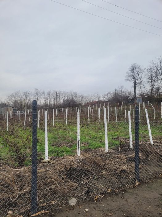 Vând loc de casă în localitatea Trușești la 30de kilometri de Botoșani