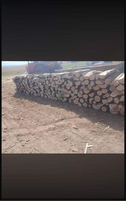 Vând lemn de stejar uscat !!