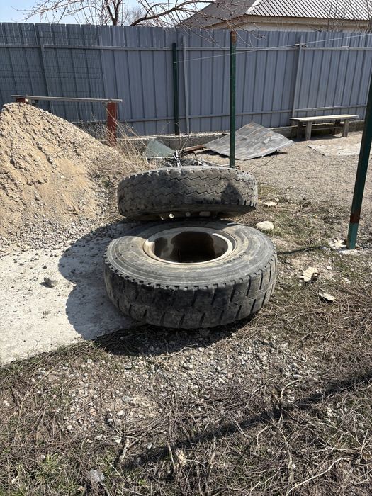 Балон с дисками 12 R20