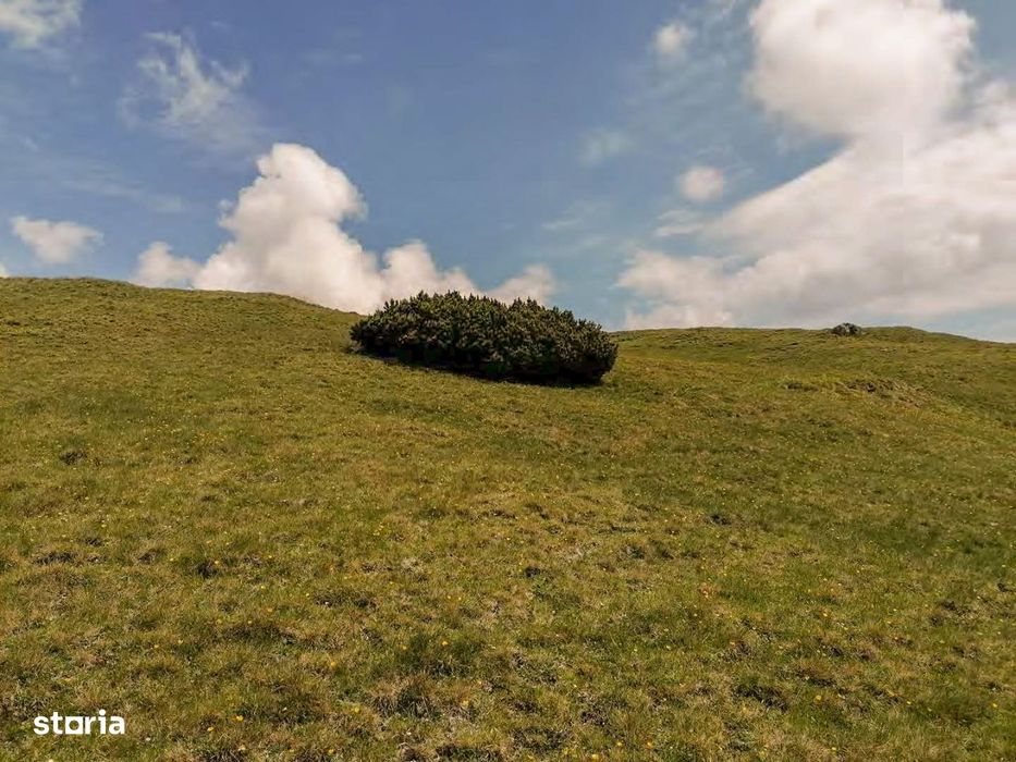Intravilan ZDD Parc Bucegi 300m² - 600 m² - 1866 m² variante rate/cash