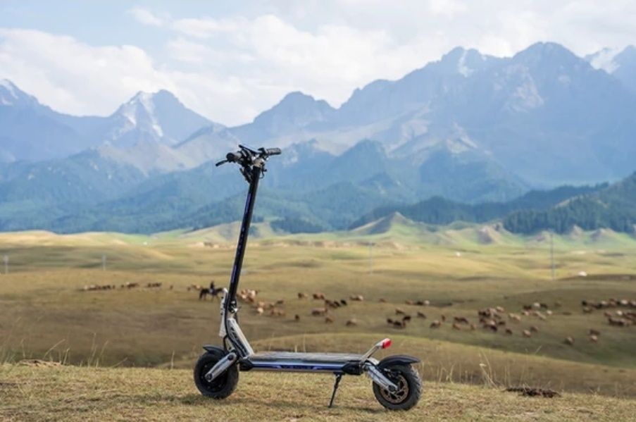 Venus 10 Sport-S Dual Motor 2x800w