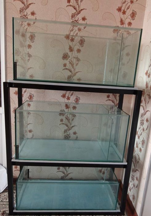 3 Akvarium + stellaj sotiladi
