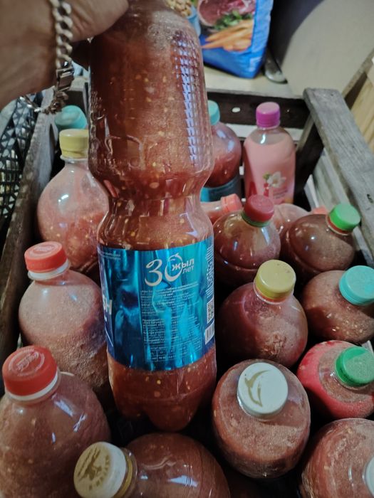 Продам кобру помидоры