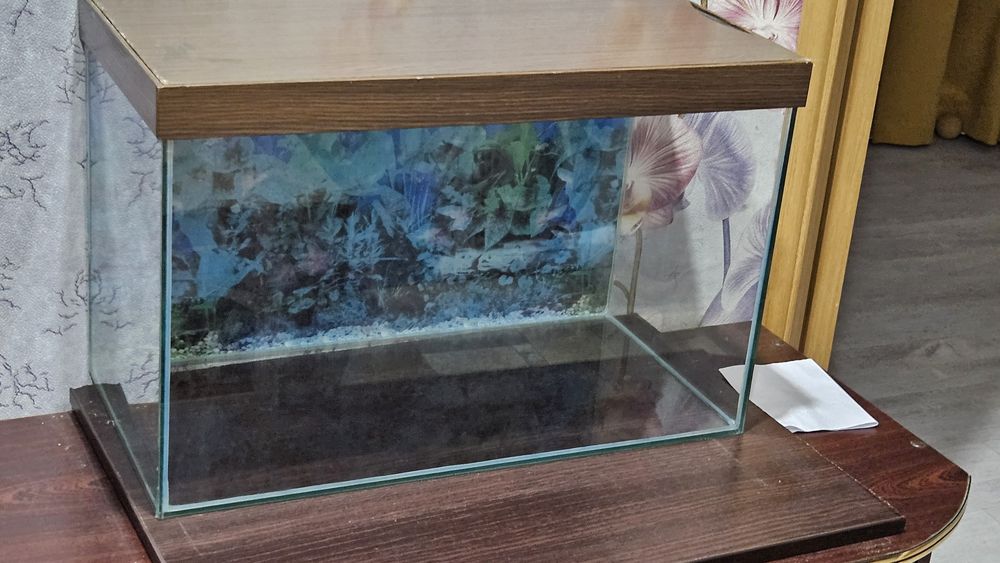Продам аквариум на 50 литров
