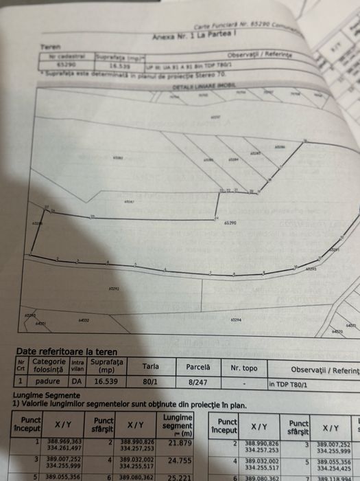 vand   teren cu padure intravilan  16539 mp