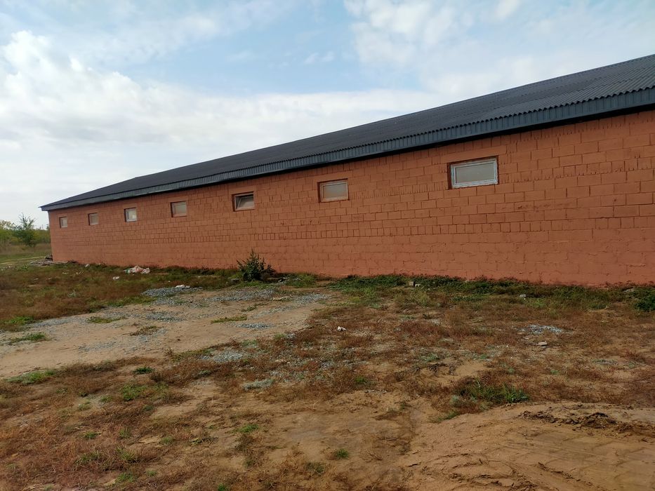 Услуги Малярный работы