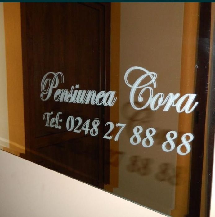 Cazare muncitori regim hotelier  Pensiuna Cora  Pitești  închiriat pen