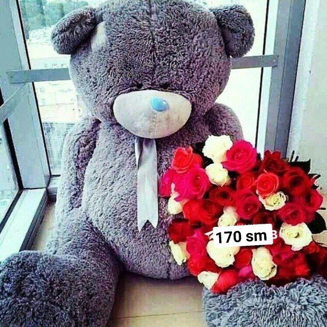 Teddy teddi va panda