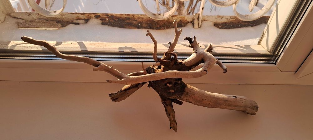 Коряга в аквариум