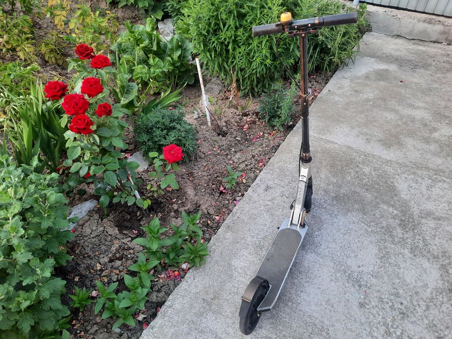 Trotineta penru copii