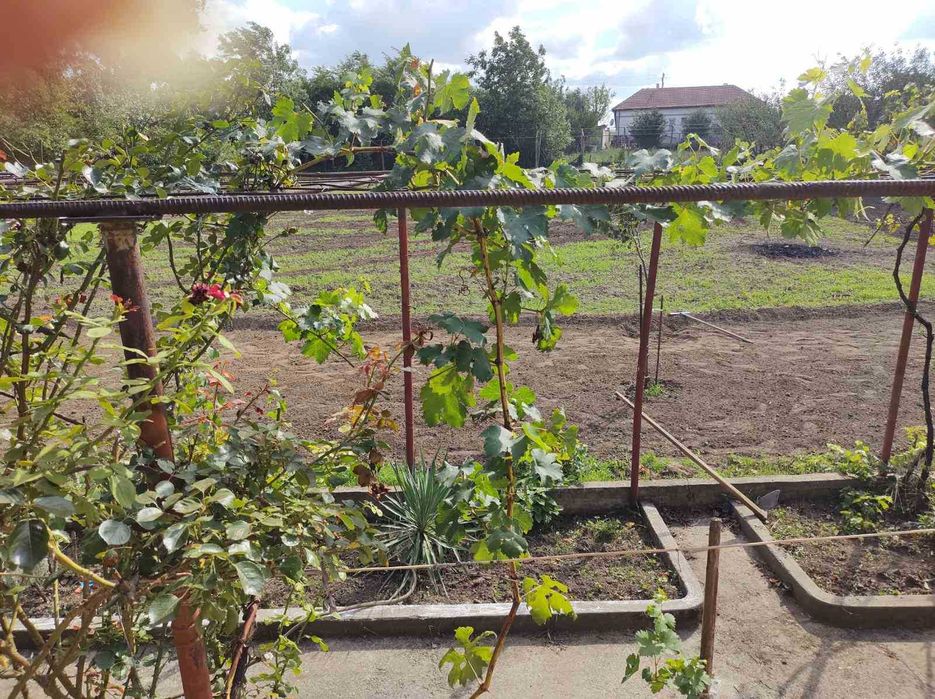 Продава се Къща в с. Каменец, Област Плевен - 100 кв.м за 203 €/кв.м - Снимка #10