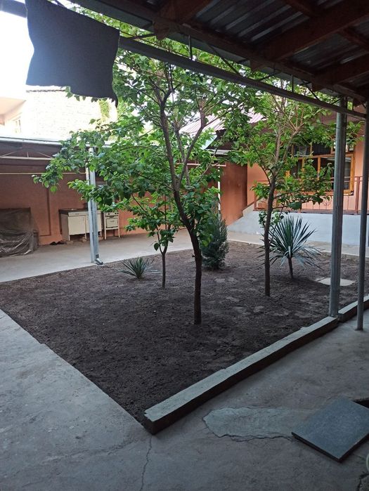 Gazon ekish hizmati ishonchli va halol