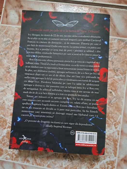 Seria de cărți fantasy Wicked