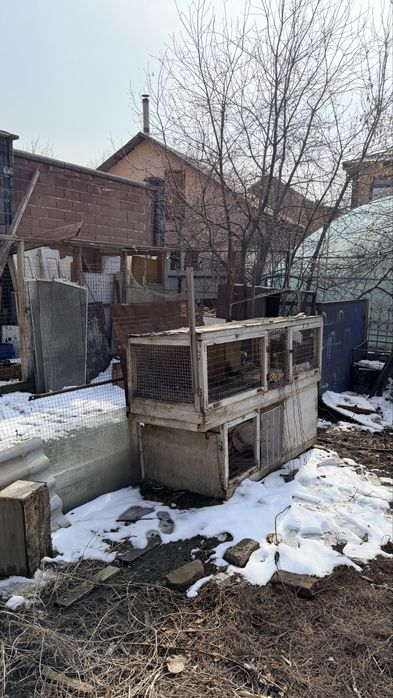 Клетки для кролов