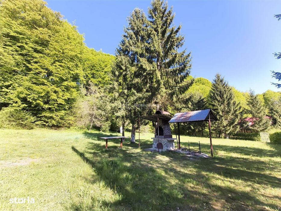 Casa de vacanta de vanzare Valea Avrigului