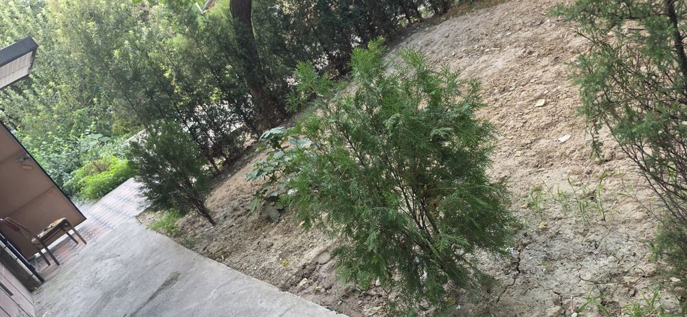 Ландшафтный  для сада
