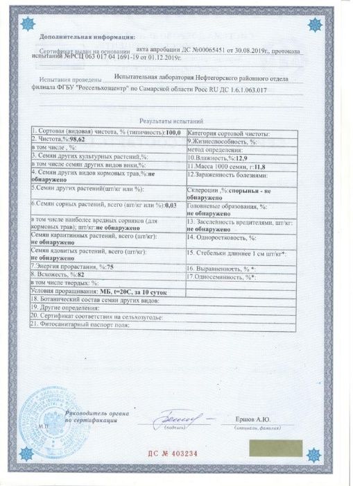 Суданская трава ( Суданка РС1 )