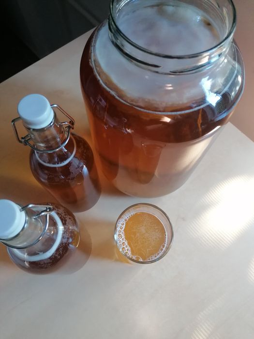 Ceai fermentat Kombucha