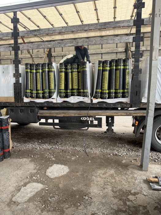 Turkman HICO , Tebegy membrane