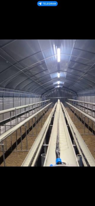 Парник тез  сотилади