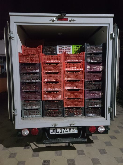 услуга грузовые автомобили