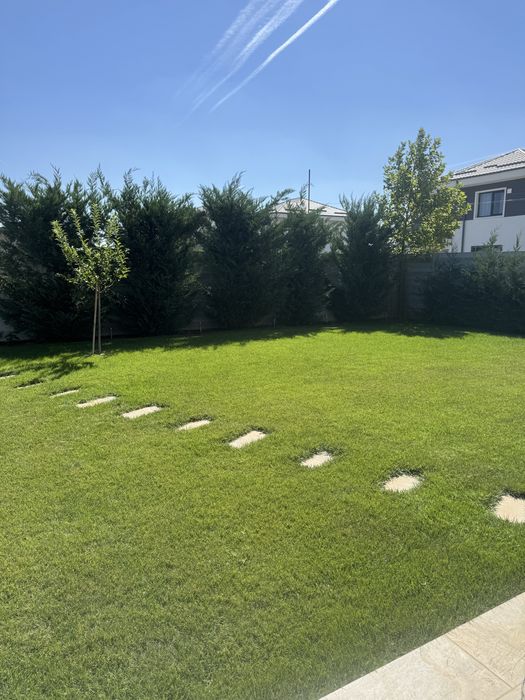 Mentenanță grădini Ilfov