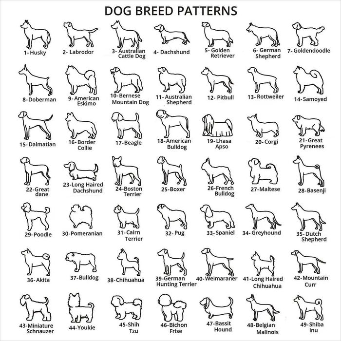 Сребърно колие с име на куче, подарък за собственик на куче