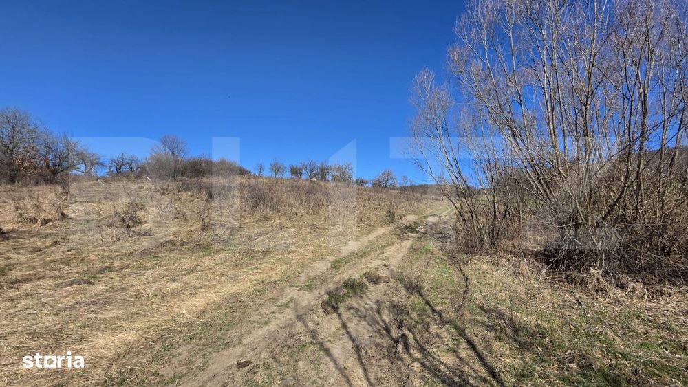 Teren de vanzare de 8,567MP in zona: Tarpiului