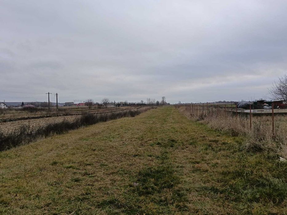 Teren de vanzare Lunca Pascani