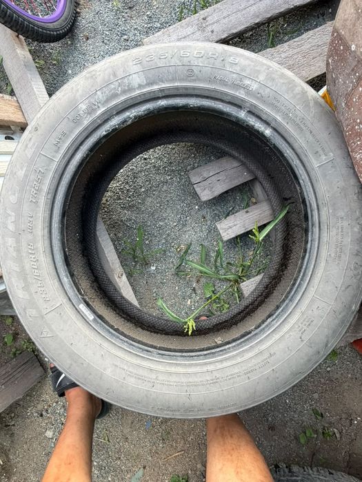 Продам шины бу лето