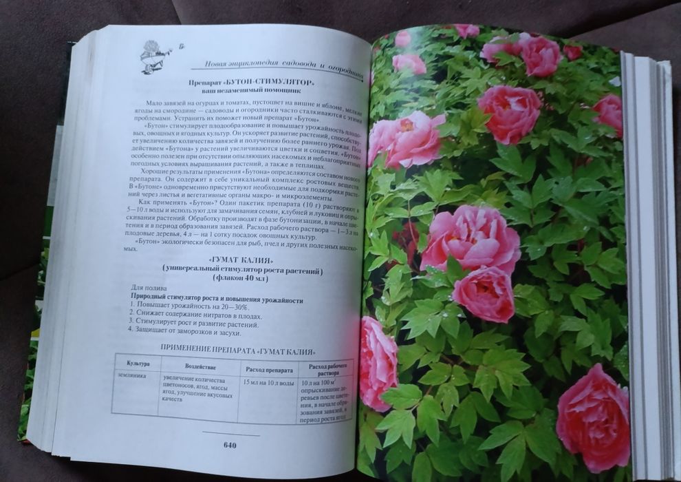 Энциклопедия садовода