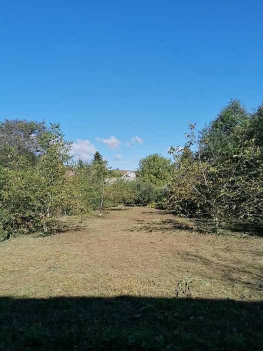 Casă cu teren 1.200 mp, panouri solare 3 kW – Soveja, Vrancea