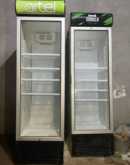 2 ta ARTEL holodilnik bor