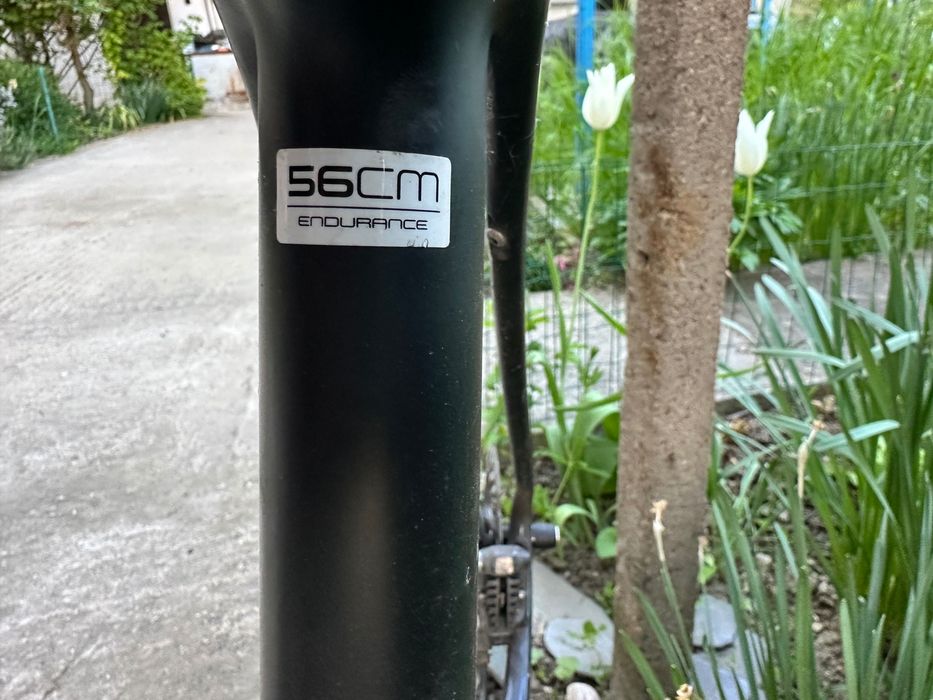 Trek Domane SLR 6 Disc | Carbon OCLV | Shimano Ultegra | Размер 56