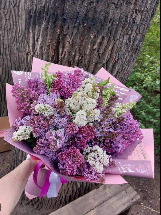 Букеты сирень бронь