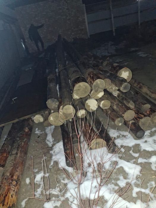 Бөрене бар 34штук