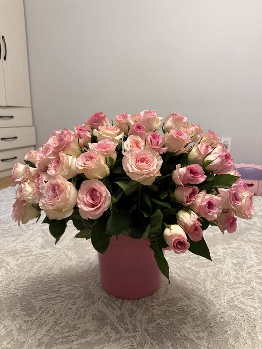 Розы свежие 51 роз