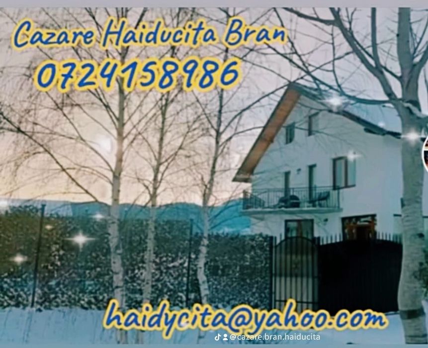 Ofer Cazare turism  Bran Brașov