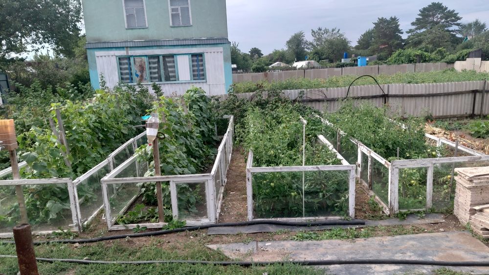 Дача оптимисте павлодарская трасса