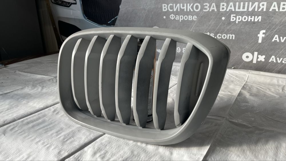 Десен бъбрек BMW X3 G01 (2017-2024)