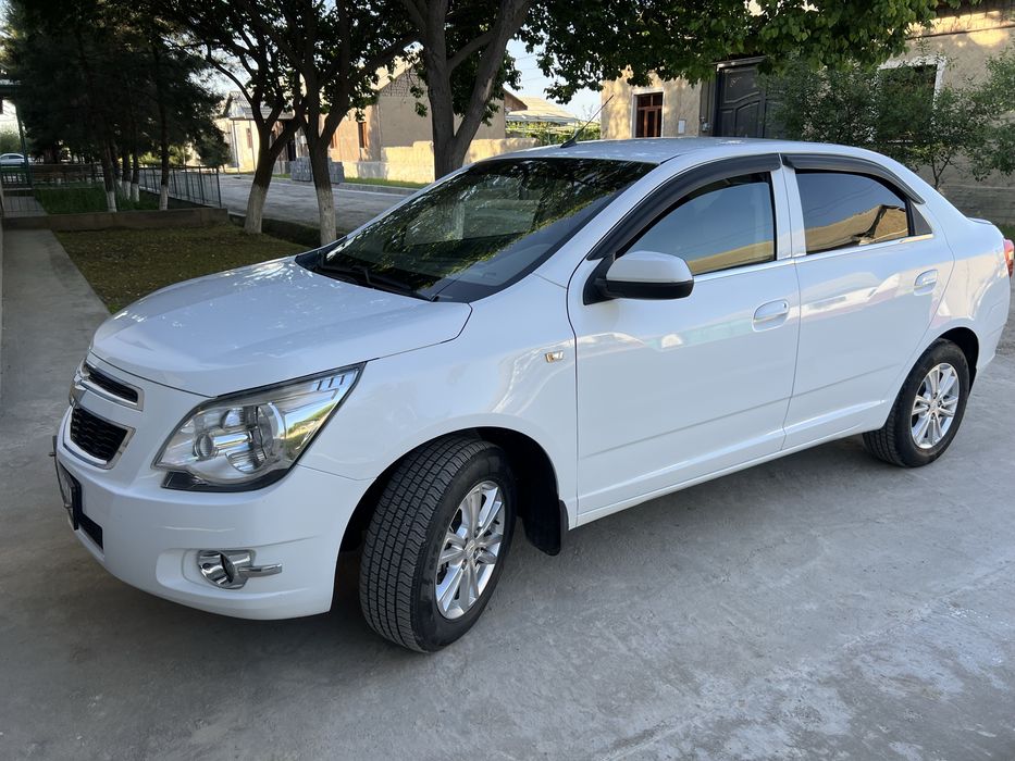 Cobalt 2021 xolati alo