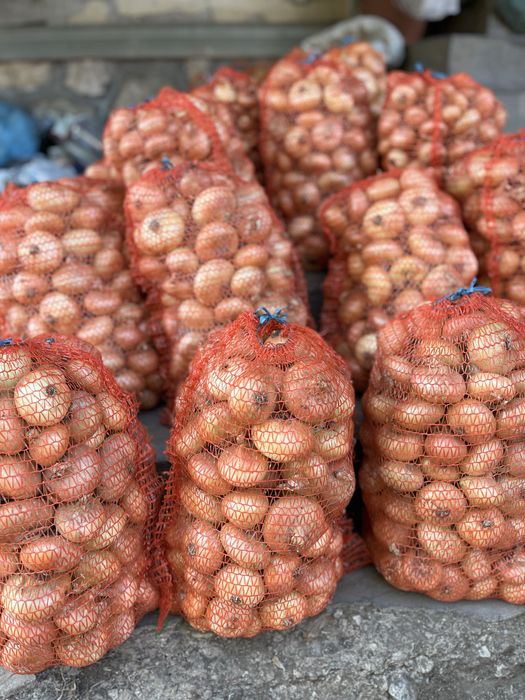 Ceapă albă din arpagic