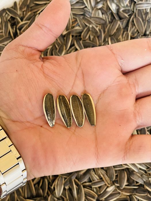 Semichka magizi shirin