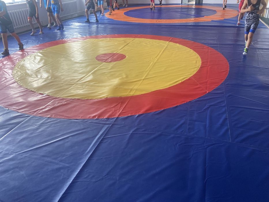 Борцовский ковер